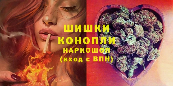 PSILOCYBIN Балахна